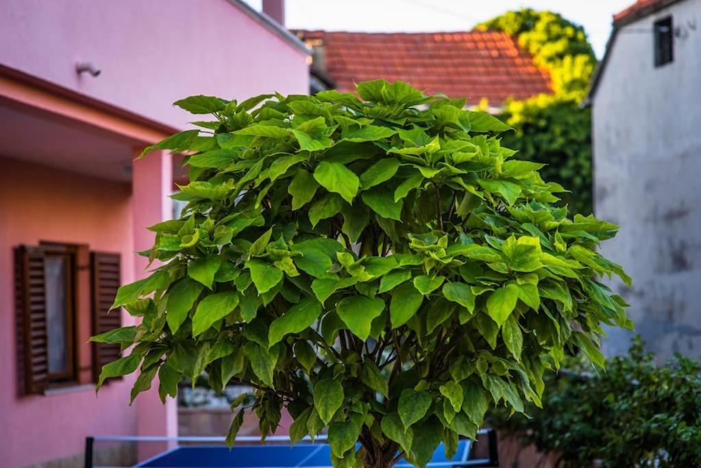Villa Milla-Grubine Esterno foto